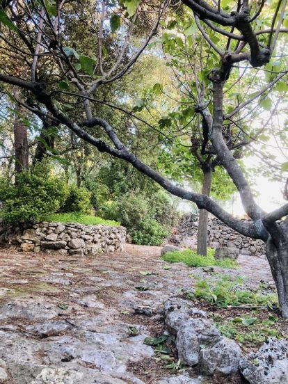 Jardin extérieur avec chemin en pierre
